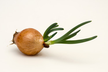 Similar image 6180836