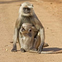 Similar image 6180883