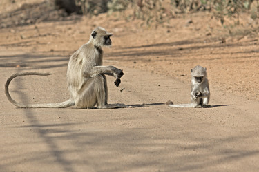 Similar image 6180884