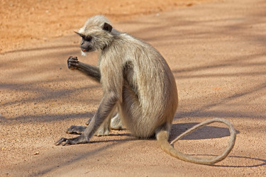 Similar image 6180885