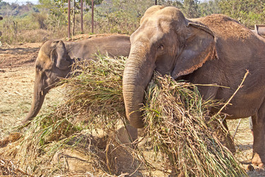 Similar image 6180886