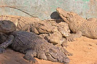 Similar image 6180891