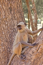 Similar image 6180900