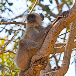 Similar image 6180901