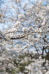 Similar image 6181147