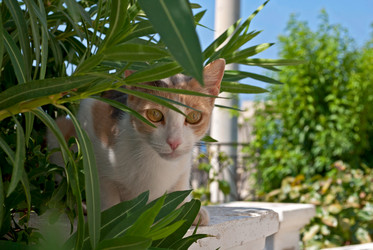 Similar image 6181222