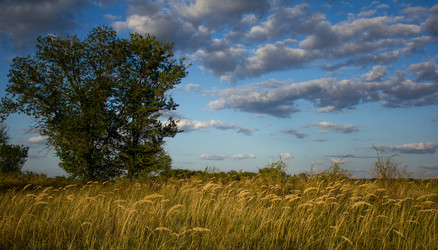 Similar image 6181297