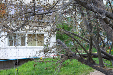 Similar image 6181298