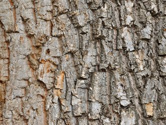 Similar image 6181308