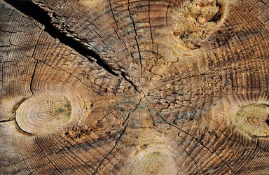 Similar image 6181313