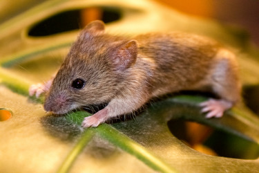 Similar image 6181320