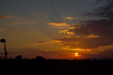 Similar image 6181324