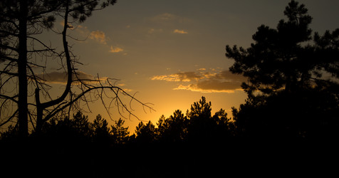 Similar image 6181326