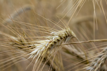 Similar image 6181328