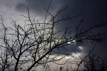 Similar image 6181329