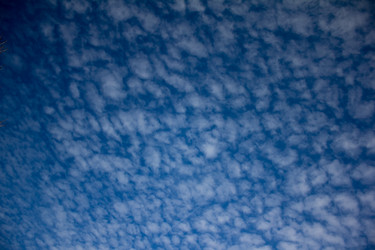 Similar image 6181331