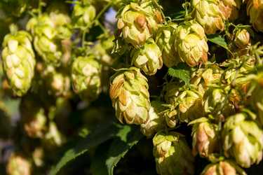 Similar image 6181335