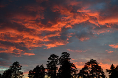 Similar image 6181402