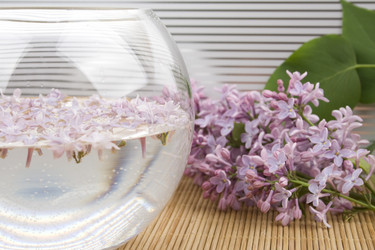 Similar image 6181411