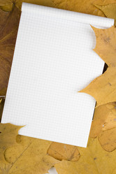 Similar image 6181413