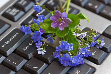 Similar image 6181425