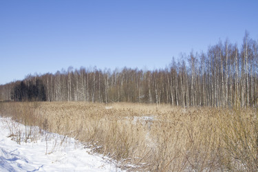 Similar image 6181476