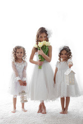 Similar image 6181536