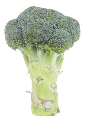 Similar image 6181599