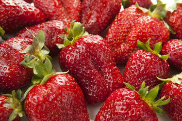 Similar image 6181646