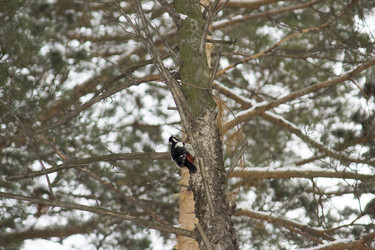 Similar image 6181672