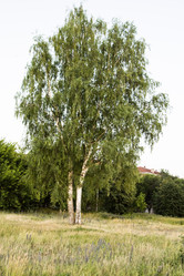 Similar image 6181673