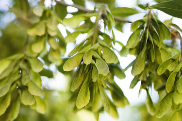 Similar image 6181676