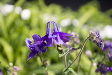 Similar image 6181677