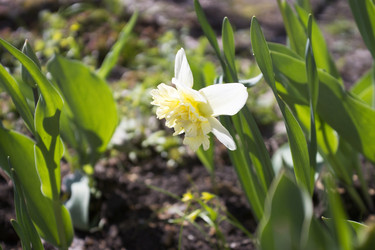 Similar image 6181678