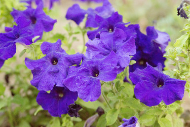 Similar image 6181679