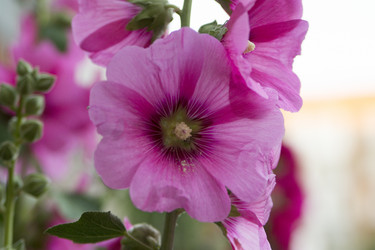 Similar image 6181680