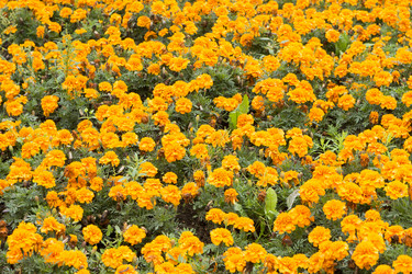 Similar image 6181681