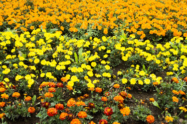 Similar image 6181682