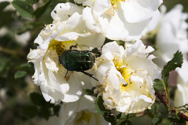 Similar image 6181687