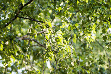 Similar image 6181690