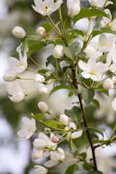 Similar image 6181693