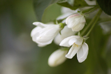 Similar image 6181700