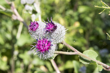 Similar image 6181701