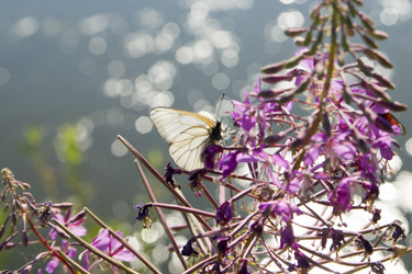 Similar image 6181702