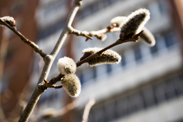 Similar image 6181704