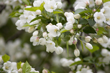 Similar image 6181707