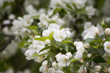 Similar image 6181708