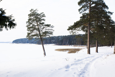 Similar image 6181717