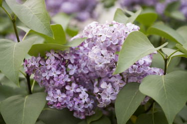 Similar image 6181718