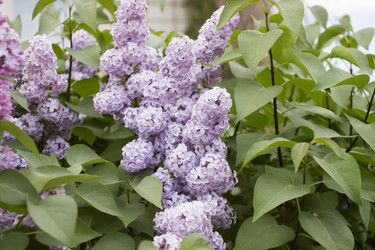 Similar image 6181723